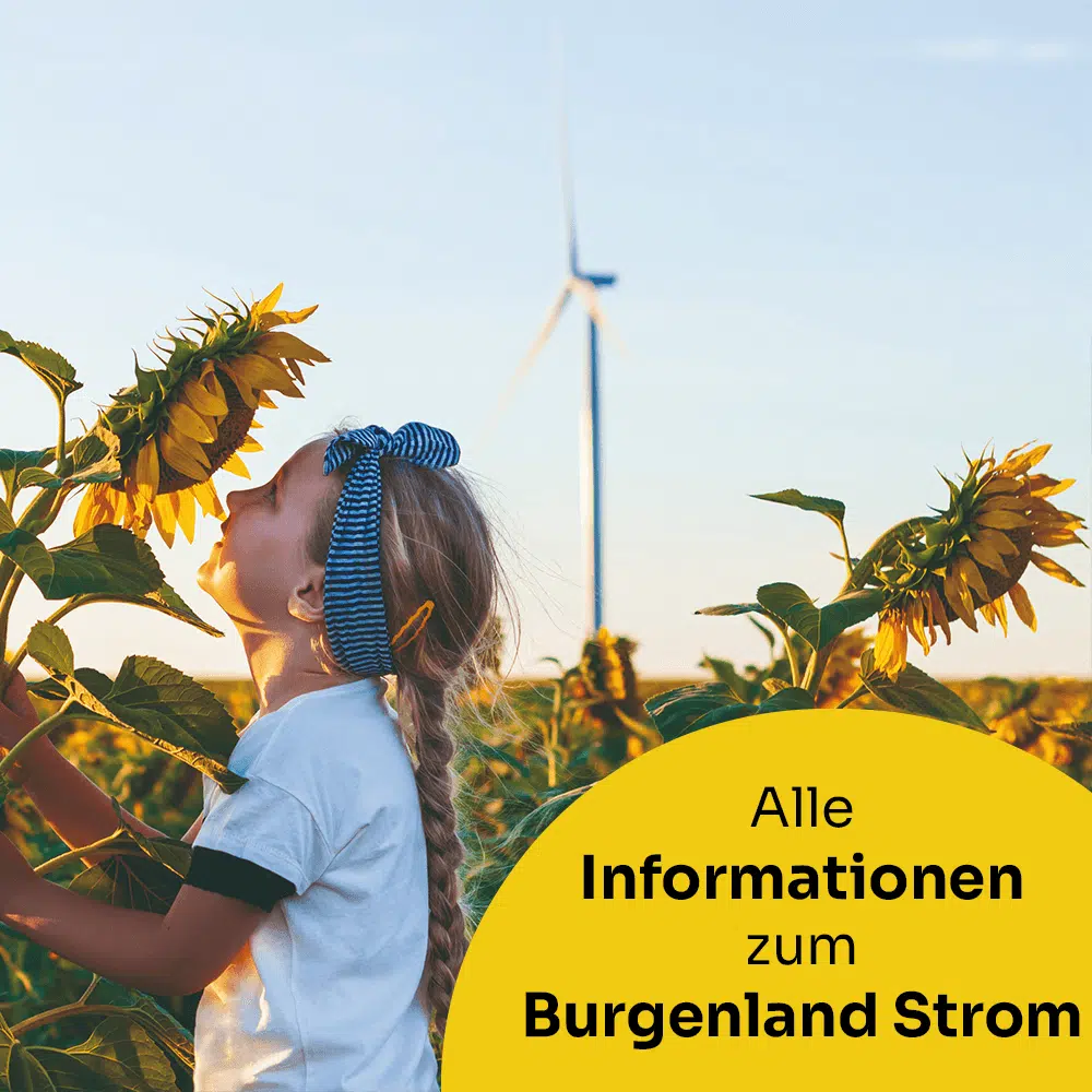 service-burgenland-strom.png